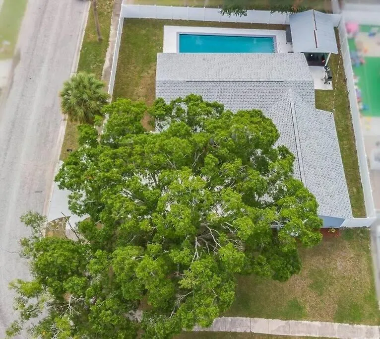 Willa Immaculate & Cozy Entire Heated Pool House Tampa 0*,